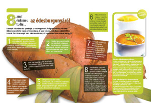 edesburgonya_v1
