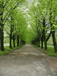 road